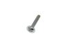 Read more about M4 x22 Flange CombiSteel M/C Screw product image