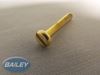 Read more about M4 X 25 SLTD PAN MACHINE SCREW BRASS product image