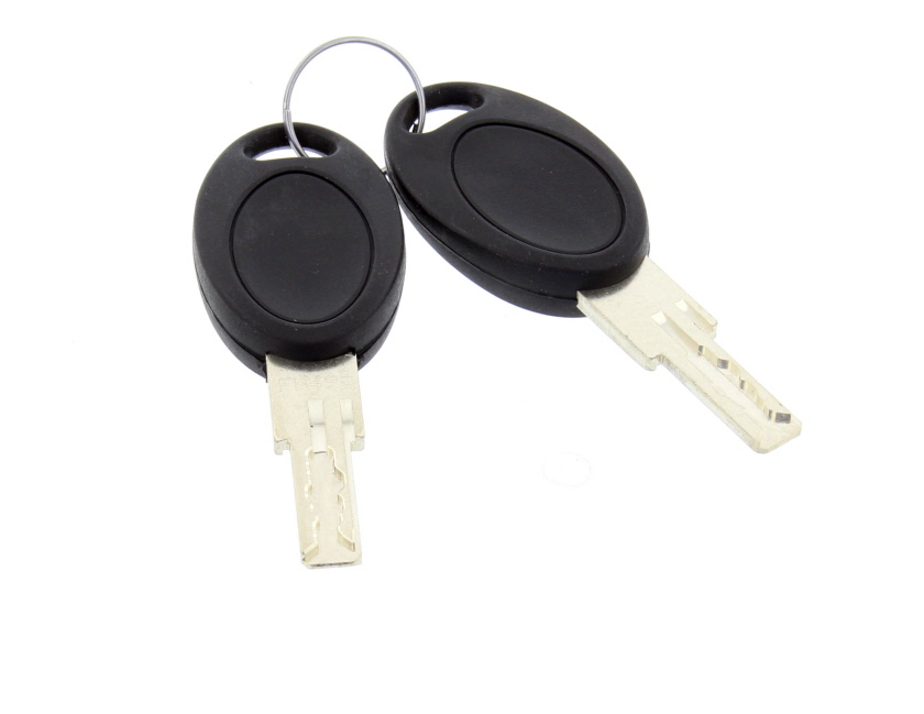 Set of Two FW497 Keys 2 x Standard