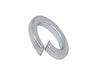 Read more about M8 Spring Washer  - Single Coil Square Section Steel product image