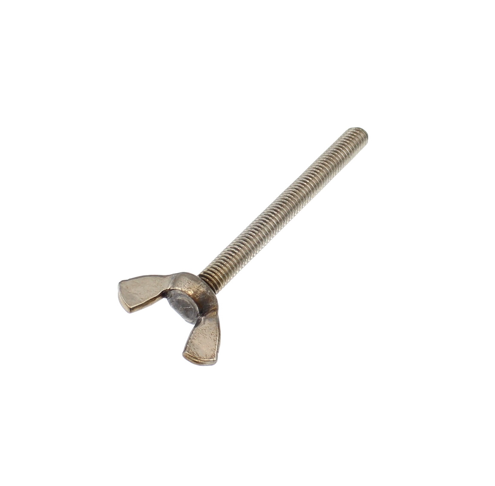 Stainless Wings Screw M6 x 70