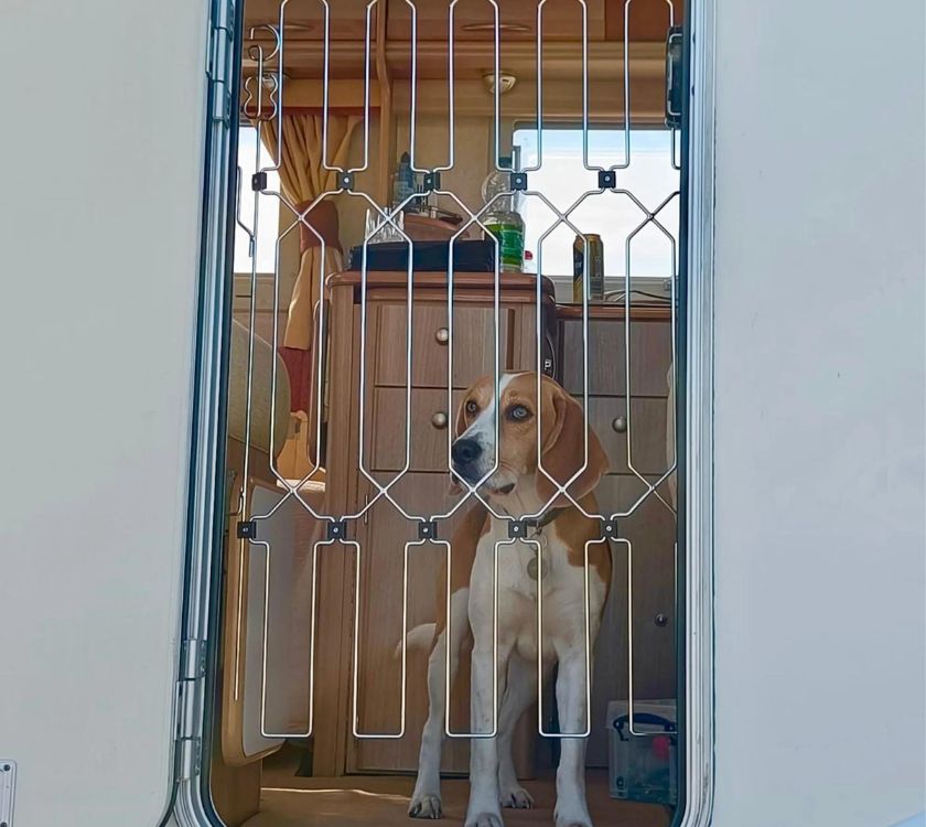 configurable dog gate