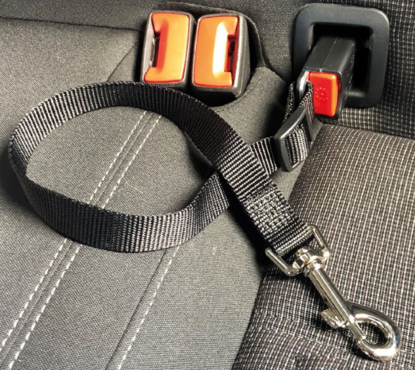 Dog Car Seat Belt - ISOfix Tether