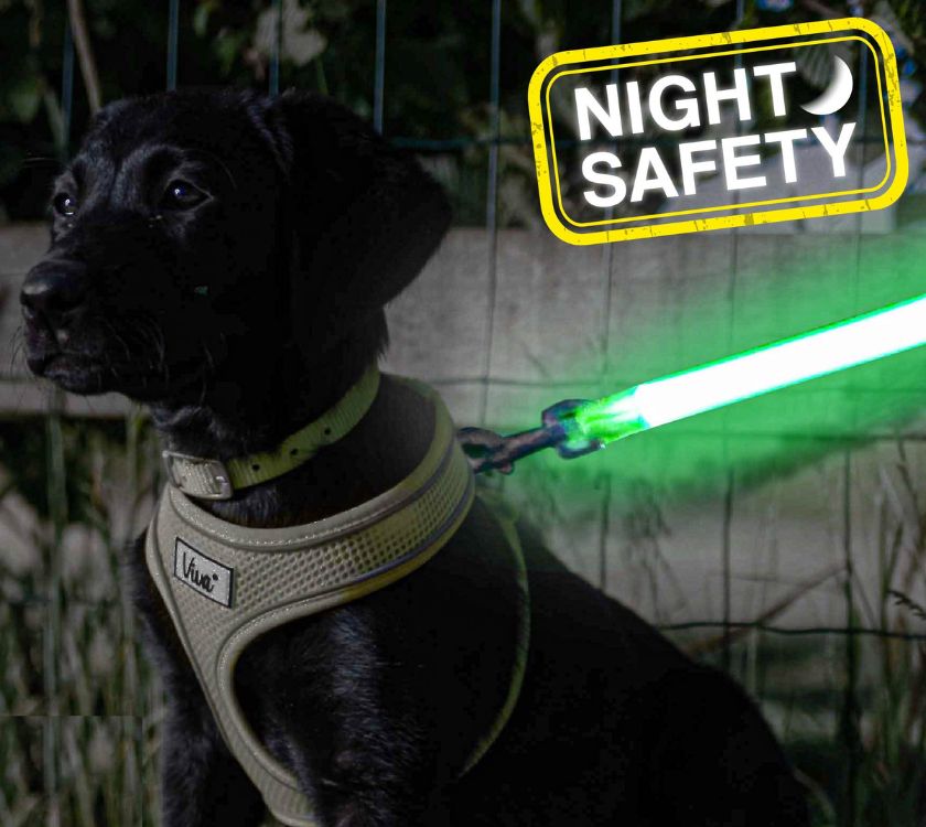 Dog Lead Attachment - Rechargable Hi-Vis Flashing Lead Attachment