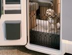 Dog G8 Motorhome/Caravan - Black 62cm