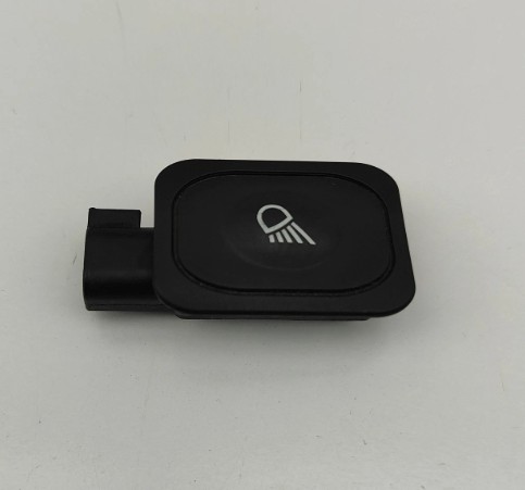 FORD Rear Light Switch - Located in O/S Barn Door Card in top shelf.