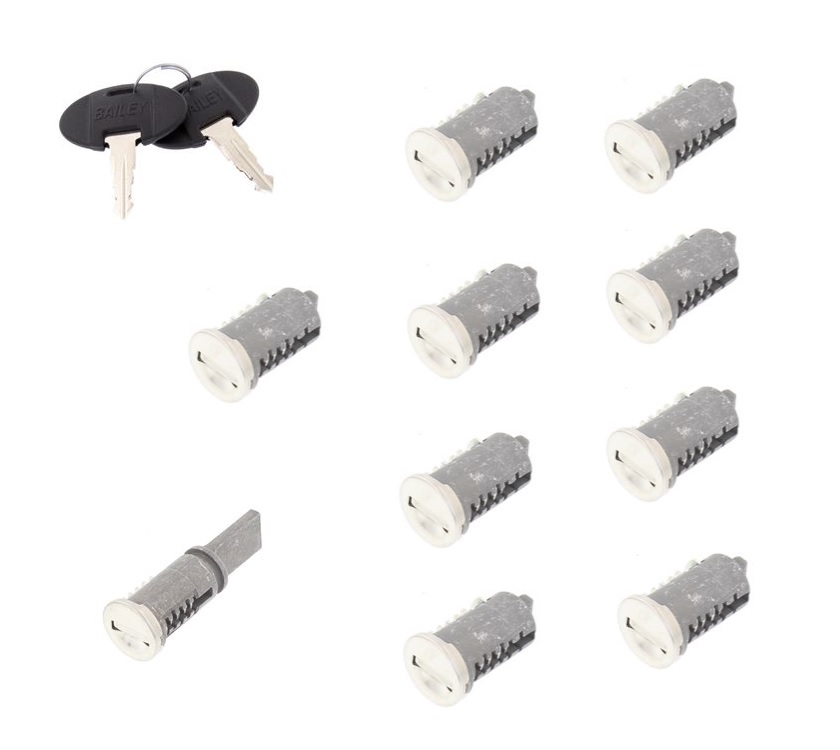 WD 10 Lock Barrel & Key Set (1 Long Tail Barrel & 9 Short Tail Barrels + 1 Pair of Keys (Random Number)