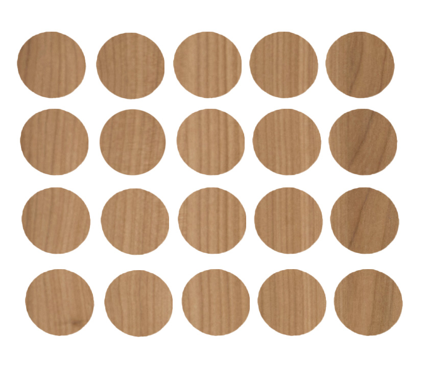 20x Riva Self Adhesive Screw Cover 19mm 