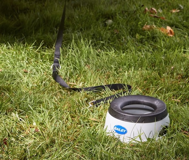 Adamo Motorhome Dog Pack