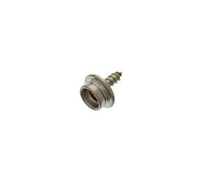 Read more about Popper Screw (Carpet Fixing) product image