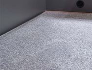 DYR Discovery + D4-2 Carpet Set - Willow Grey