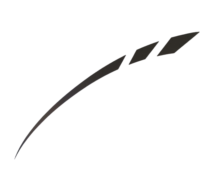 Olympus N/S Front Upper Silver Decal 