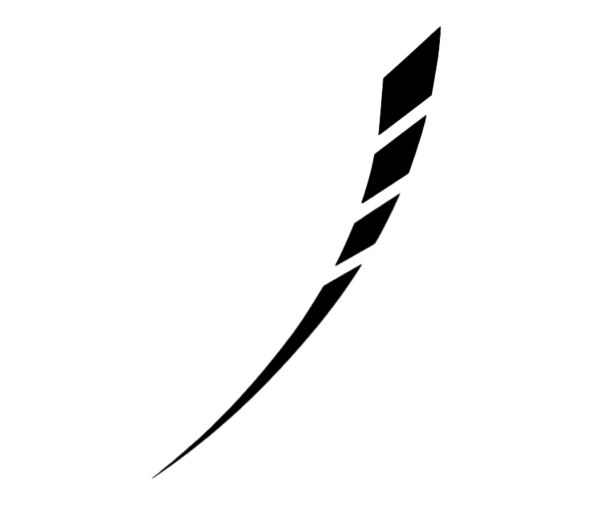 Olympus N/S Front Lower Dark Grey Decal