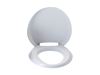 Read more about Thetford C220 Toilet Seat & Cover product image