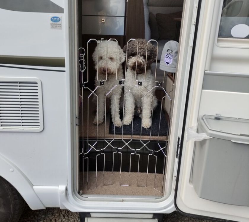 configurable dog gate