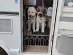 Dog G8 Motorhome/Caravan - Chrome 62cm