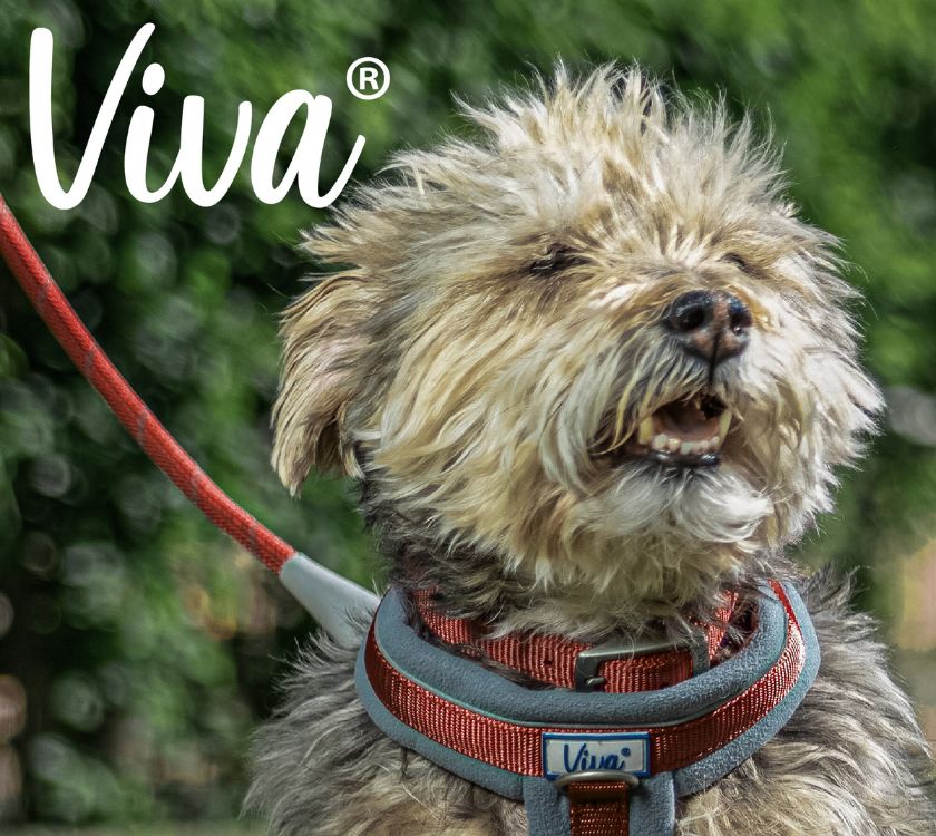 Read more about Viva Reflective Rope Lead - 1.07mx10mm product image