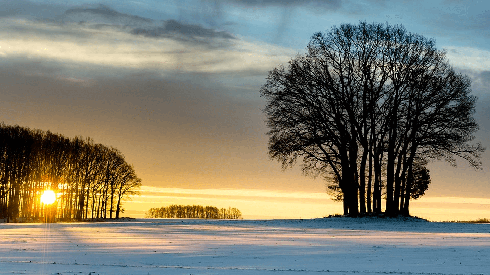 Heading to the winter sun