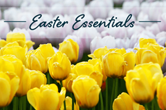 Read blog article - Easter Essentials - get ready for the new season!