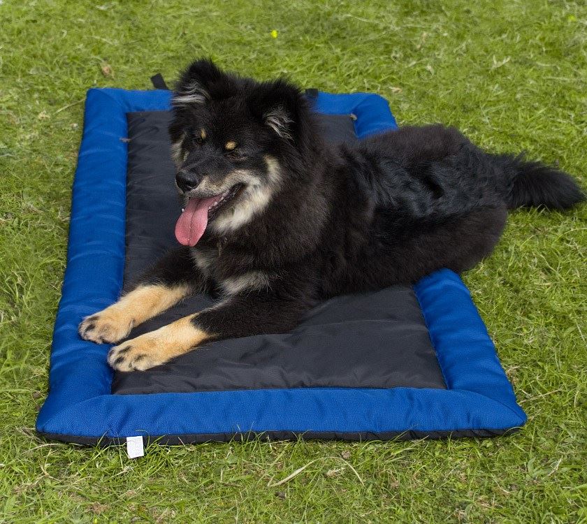 PRIMA Dog Mat