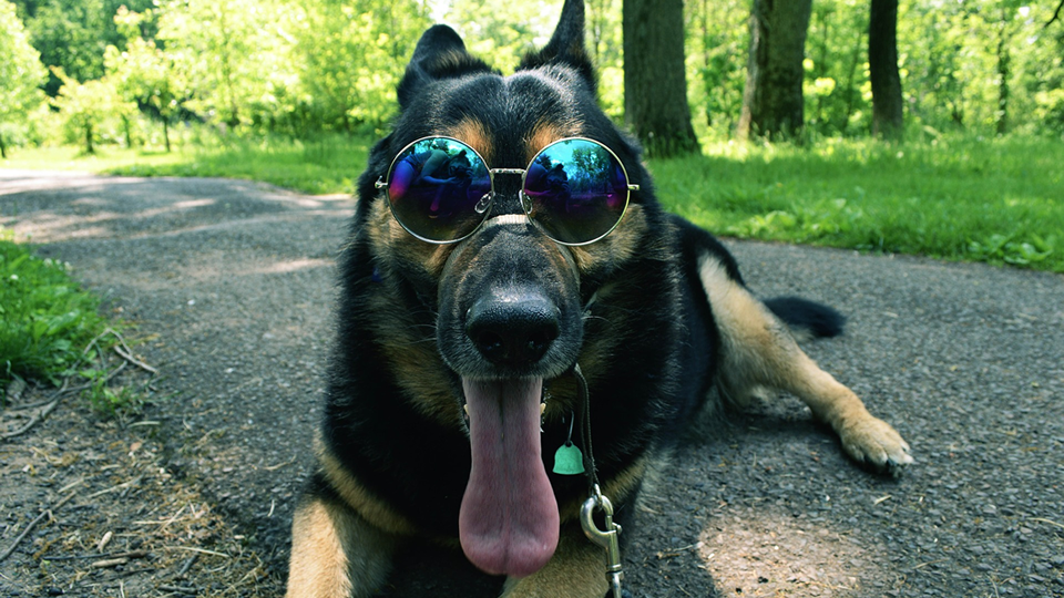 Read blog article - Keep calm and stay cool!