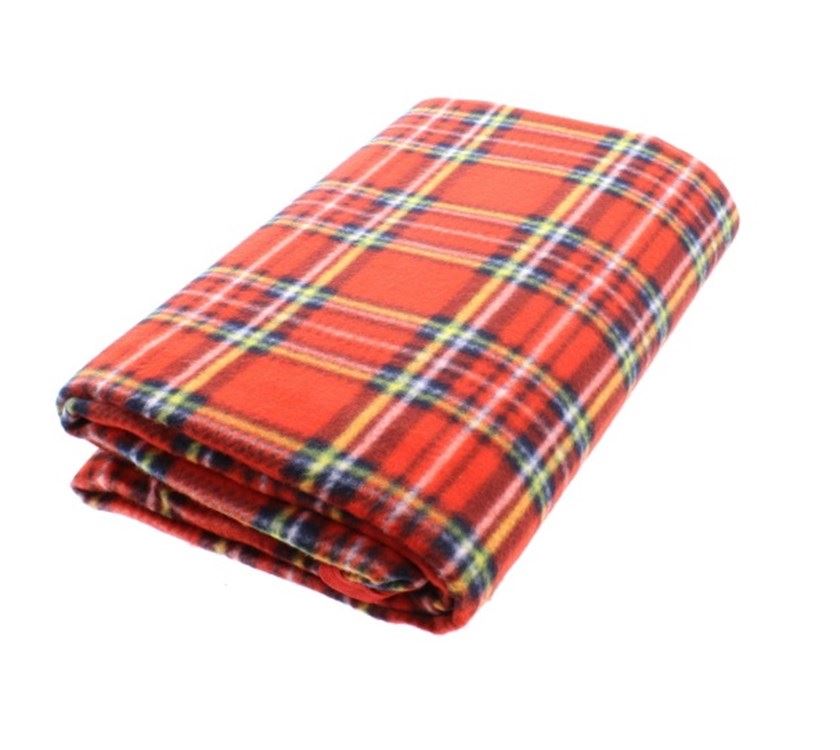 Waterproof picnic blanket