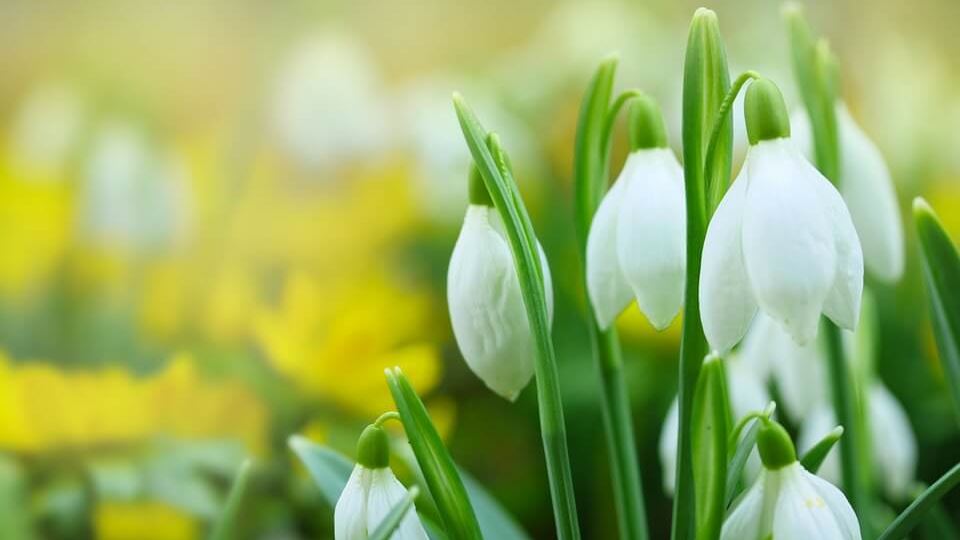 6 Great Locations For Spring Touring