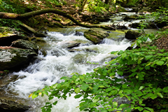 Read blog article - Choosing the Best Caravan Water Filter - Cleaner, Safer Water in Your Caravan